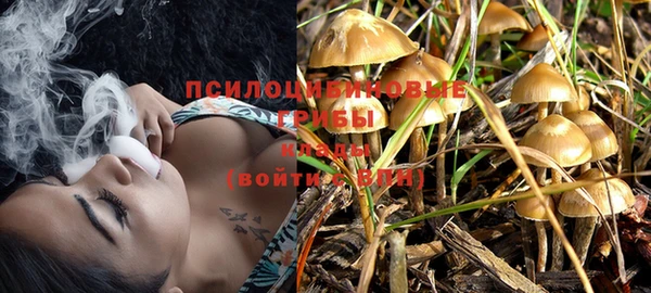 сатива Тихвин