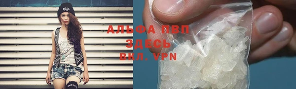 сатива Тихвин