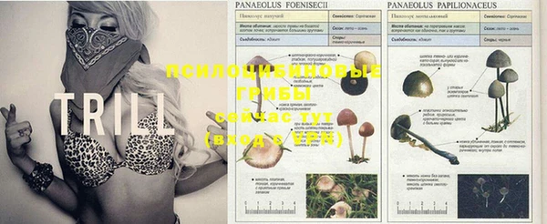 мяу мяу кристалл Тихорецк