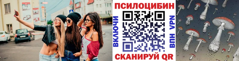 Купить где  Ялта  Галлюциногенные грибы Psilocybe 